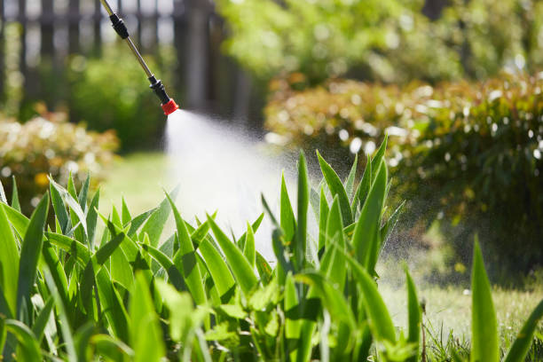 24/7 Emergency Mosquito Control experts in McFarland, CA
